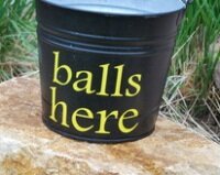 Bucket of Balls vinyl to round up the tennis balls