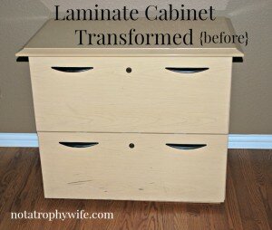 Laminate File Cabinet Transformed with Paint