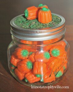 Pumpkin Patch in a Jar
