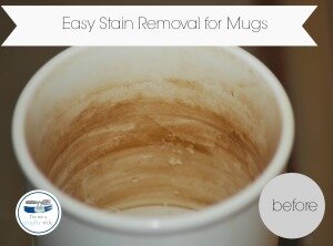 Stain Removal Method: 2 Minute Tuesday