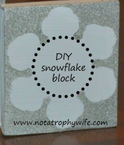 DIY Snowflake Blocks