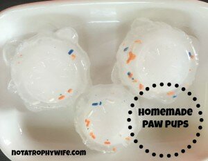 Homemade Pup Popsicles