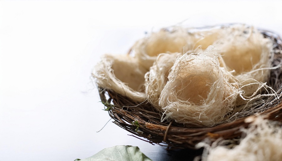 Should You Enjoy Bird's Nest Soups and Drinks Cold or Hot