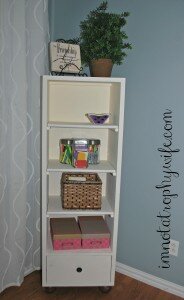 Bookcase Makeover with Paint