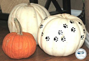 Paw print pumpkins for your front porch!