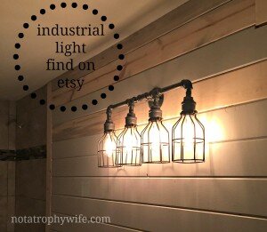 Industrial Light Fixture