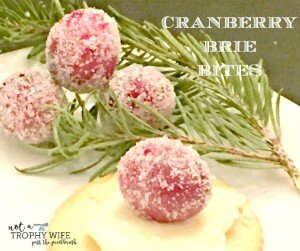 Cranberry Brie Bites Appetizer